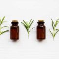 Natural Liver Detox: Foods and Herbs Popular in British Culture