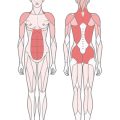 The Science of Core Stability: British Insights into Modern Pilates Techniques