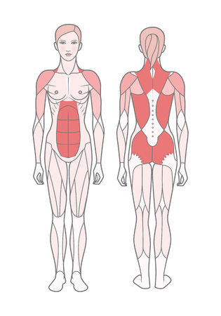 The Science of Core Stability: British Insights into Modern Pilates Techniques
