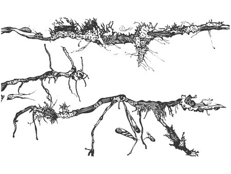 Renaissance Revival and the Age of Herbals