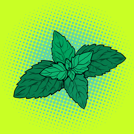 Practical Tips for Cultivating Herbs at Home