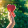 Conscious Consumption in the UK: Making Mindful Choices for a Greener Lifestyle