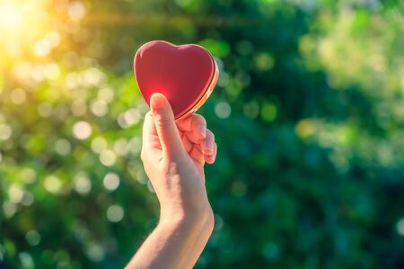Conscious Consumption in the UK: Making Mindful Choices for a Greener Lifestyle
