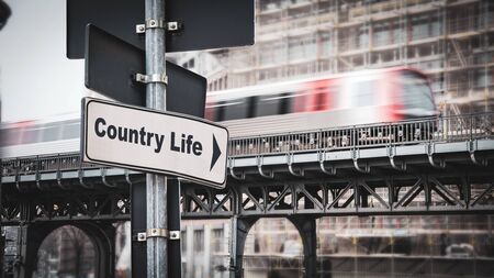 Morning Routines for Lifelong Vitality: A British Perspective