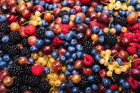 Seasonal Superfoods in the British Isles: Eating Well All Year Round
