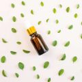 A Beginner’s Guide to Aromatherapy: Understanding the Basics