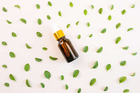 A Beginner’s Guide to Aromatherapy: Understanding the Basics