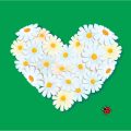 Chamomile: The Queen of Calm in British Herbal Traditions