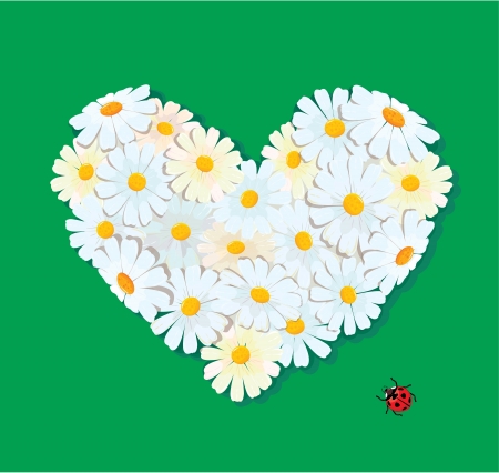 Chamomile: The Queen of Calm in British Herbal Traditions