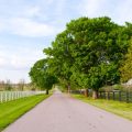 Health Benefits of Gentle Walking Amidst the British Landscape