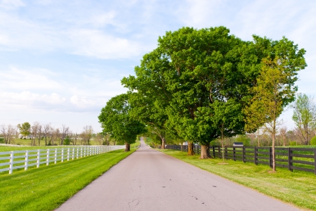 Health Benefits of Gentle Walking Amidst the British Landscape