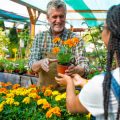 Gardening, Allotments, and Outdoor Culture: Traditional British Activities for Healthy Ageing