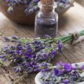 Exploring Local and Native British Botanicals in Sustainable Skincare