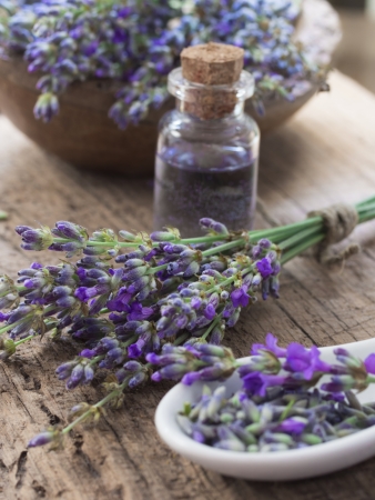 Exploring Local and Native British Botanicals in Sustainable Skincare