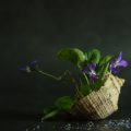 The Rise of Eco-Wellness: How Sustainable Living is Transforming British Health and Happiness