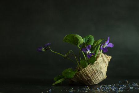 The Rise of Eco-Wellness: How Sustainable Living is Transforming British Health and Happiness