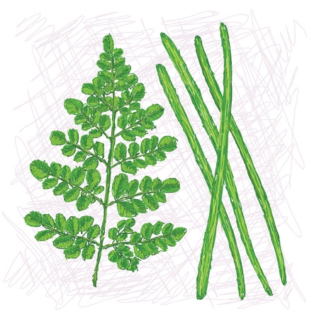 Coastal Foraging in the UK: Seaweeds, Shoreline Plants, and Sustainable Harvesting