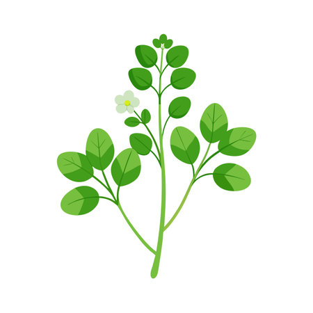 Digestive and Immune Support