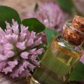 Essential Oils and Aromatherapy: A British Perspective on Natural Sleep Aids
