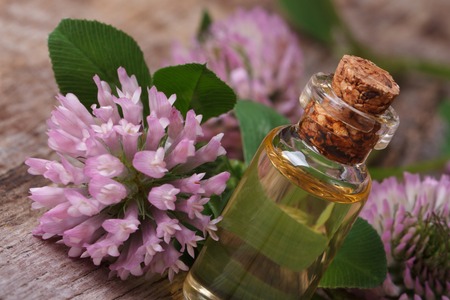 Essential Oils and Aromatherapy: A British Perspective on Natural Sleep Aids