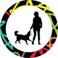 Adapting Tai Chi and Qigong for Mobility and Health Challenges in Senior British Populations
