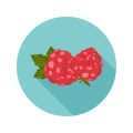 Berries in Britain: From Hedgerow to Health Hero