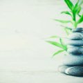 Building Emotional Resilience: Strategies for Navigating Uncertainty in Modern British Life