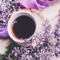 Seasonal Aromatherapy: Blends and Practices for the British Climate