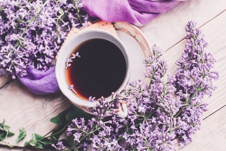 Seasonal Aromatherapy: Blends and Practices for the British Climate
