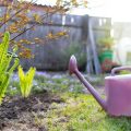 Gardening in the British Isles: Daily Habits for a Longer Life
