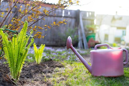 Gardening in the British Isles: Daily Habits for a Longer Life