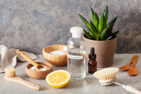 Eco-Friendly Cleaning Products: Top UK Brands and How They Reduce Environmental Impact