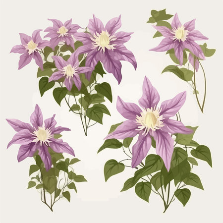 Passionflower: A Hidden Gem