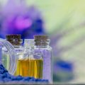 Jasmine, Passionflower, and British Gardens: Lesser-Known Teas for Sleep