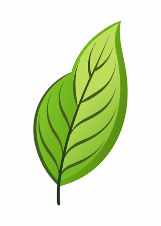 Key Medicinal Properties and Actions