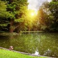 Cold Water Therapy: The Growing Trend of Wild Swimming in British Naturopathy