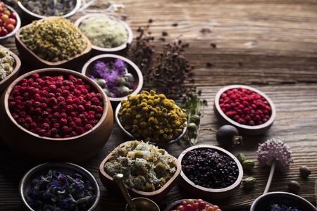 The Role of British Superfoods in Traditional Folk Medicine and Modern Health