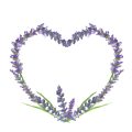 The Healing Power of Lavender: British Perspectives